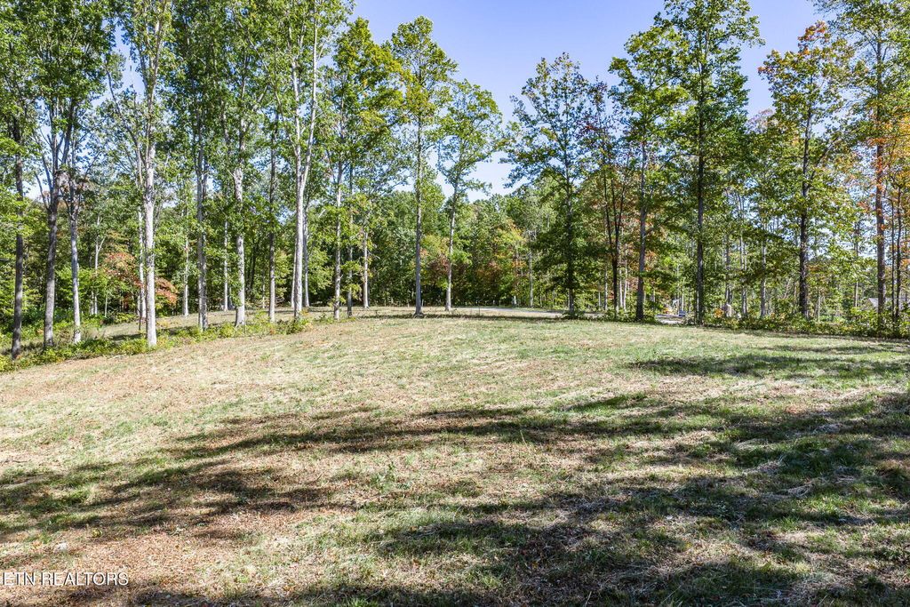Photo of 628 Cumberland Cove Rd, Monterey, TN 38574 (MLS # 1319824)