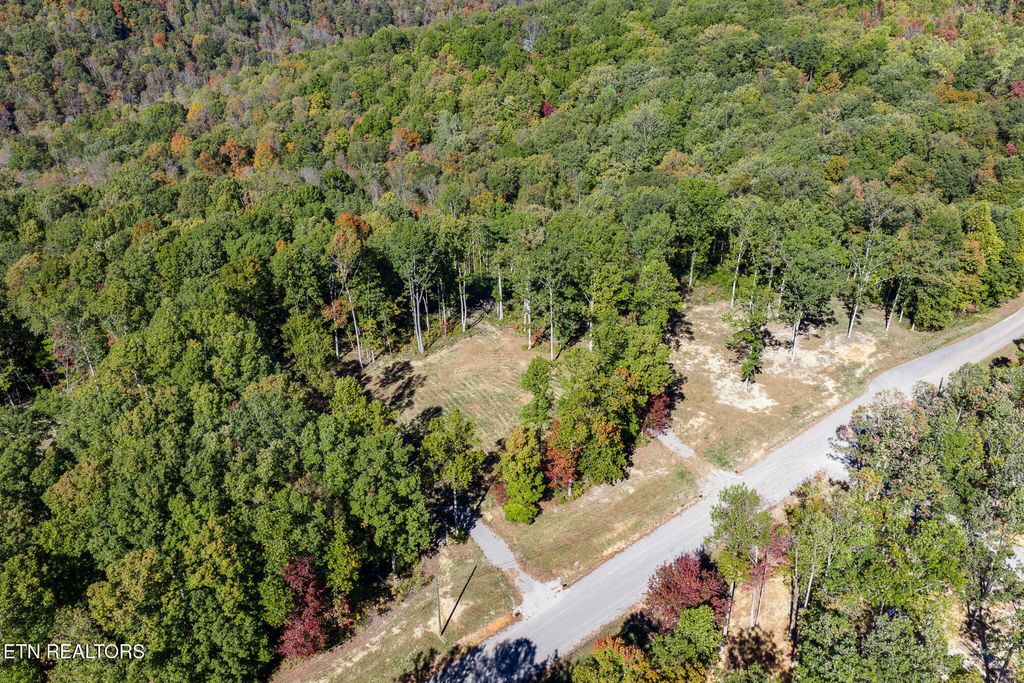 Photo of 628 Cumberland Cove Rd, Monterey, TN 38574 (MLS # 1319824)