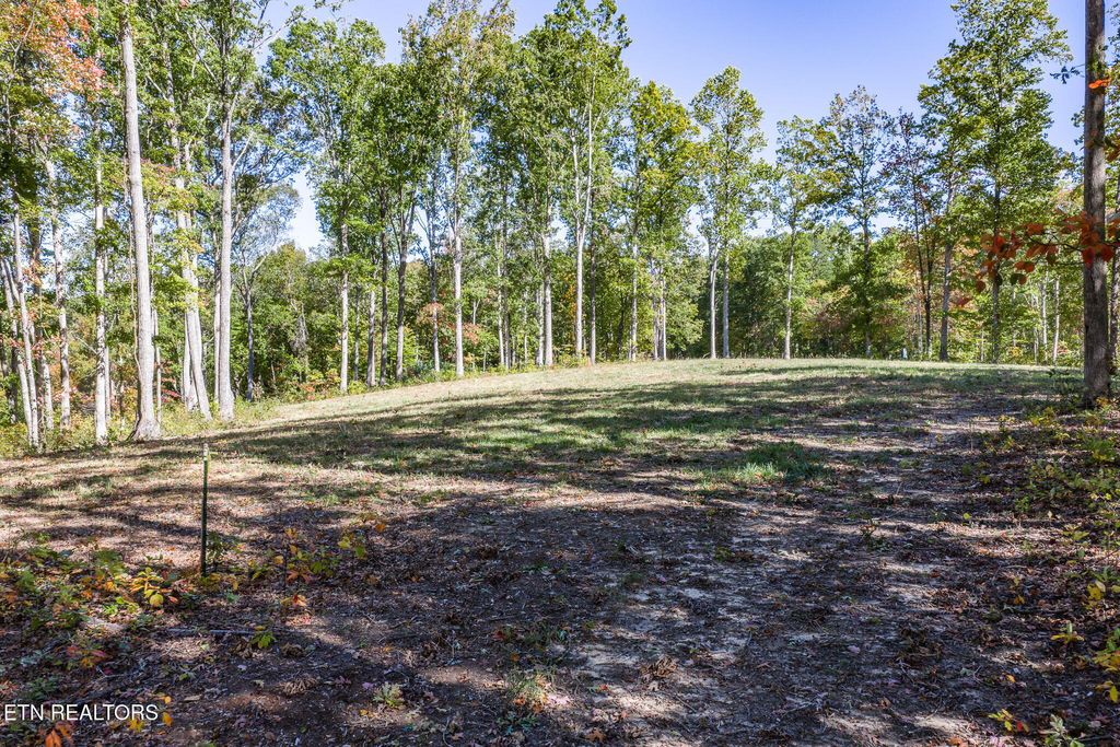 Photo of 628 Cumberland Cove Rd, Monterey, TN 38574 (MLS # 1319824)