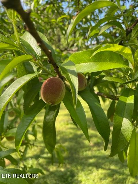 Tiny photo for 36480 N Highway 72 N, Loudon, TN 37774 (MLS # 1328676)