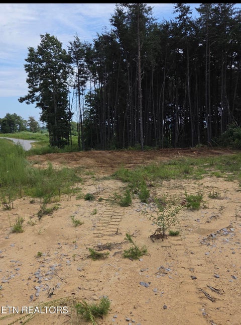 Tiny photo for 49 SR 399, Dunlap, TN 37327 (MLS # 1359781)