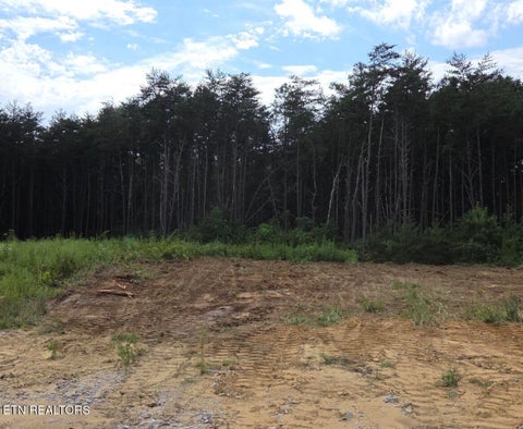 Photo of 49 SR 399, Dunlap, TN 37327 (MLS # 1359781)