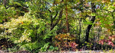 Tiny photo for 90 Mountain Blvd, Sevierville, TN 37876 (MLS # 1359561)