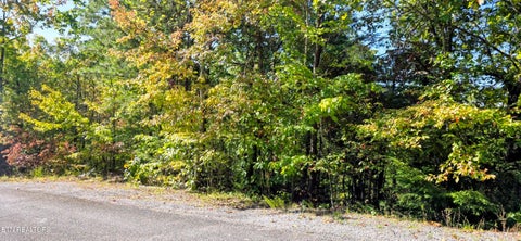 Tiny photo for 90 Mountain Blvd, Sevierville, TN 37876 (MLS # 1359561)