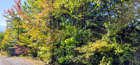 Tiny photo for 90 Mountain Blvd, Sevierville, TN 37876 (MLS # 1359561)
