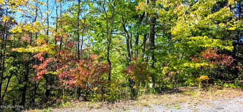 Tiny photo for 90 Mountain Blvd, Sevierville, TN 37876 (MLS # 1359561)