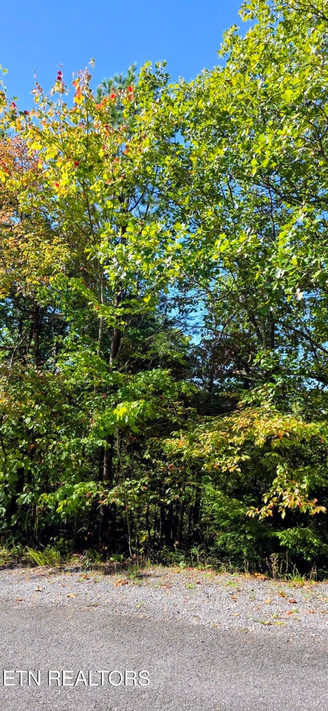 Tiny photo for 90 Mountain Blvd, Sevierville, TN 37876 (MLS # 1359561)
