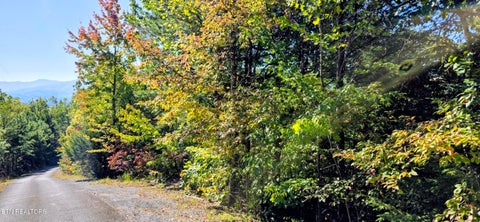 Photo of 90 Mountain Blvd, Sevierville, TN 37876 (MLS # 1359561)