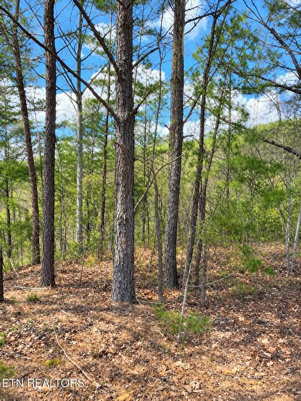 Photo of 90 Mountain Blvd, Sevierville, TN 37876 (MLS # 1359561)
