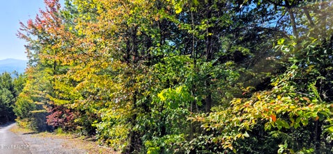 Tiny photo for 90 Mountain Blvd, Sevierville, TN 37876 (MLS # 1359561)