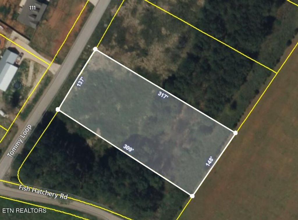 Photo of 35 Tommy Loop Rd, Sweetwater, TN 37874 (MLS # 1306068)