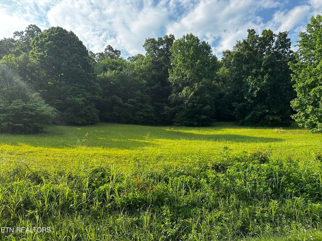 Photo of Buckhead Tr, White Pine, TN 37890 (MLS # 1266529)