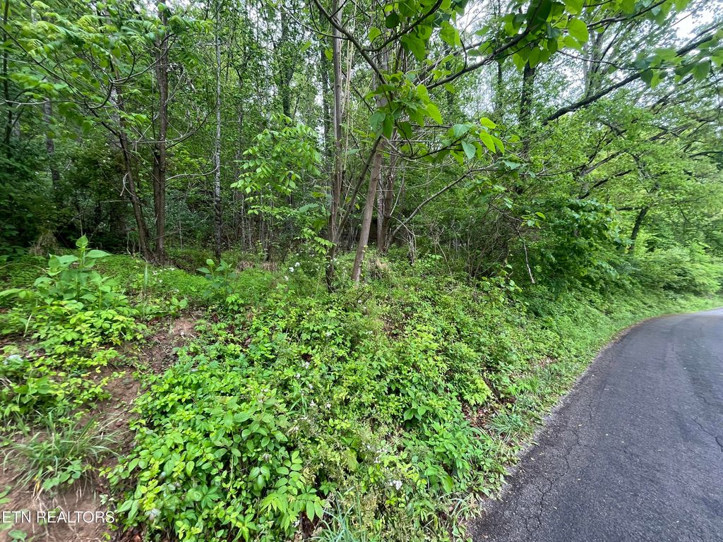 Photo of TBD Valley Creek Rd, Dryden, VA 24243 (MLS # 1339923)