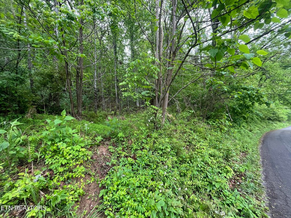 Photo of TBD Valley Creek Rd, Dryden, VA 24243 (MLS # 1339923)
