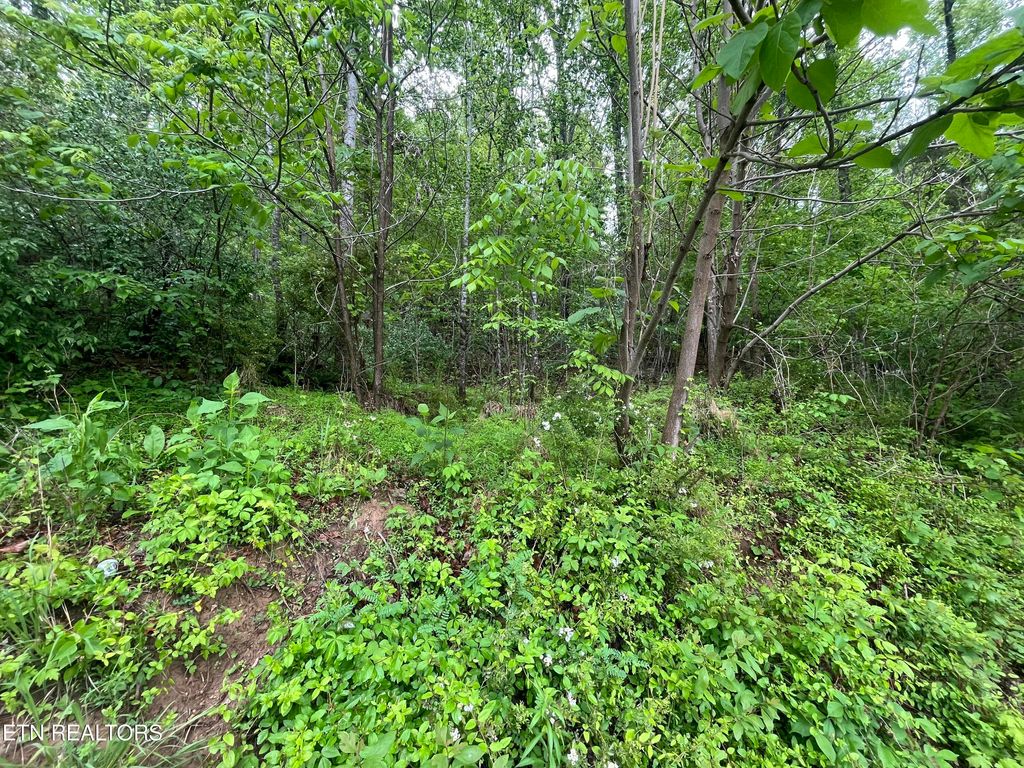 Photo of TBD Valley Creek Rd, Dryden, VA 24243 (MLS # 1339923)