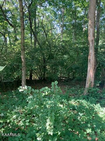 Photo of 8516 San Marcos Drive, Knoxville, TN 37938 (MLS # 1234175)