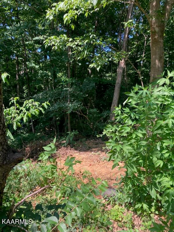 Photo of 8516 San Marcos Drive, Knoxville, TN 37938 (MLS # 1234175)