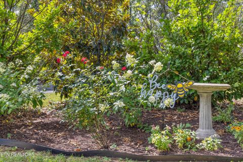 Tiny photo for 3434 Fountain Park Blvd, Knoxville, TN 37917 (MLS # 1331914)