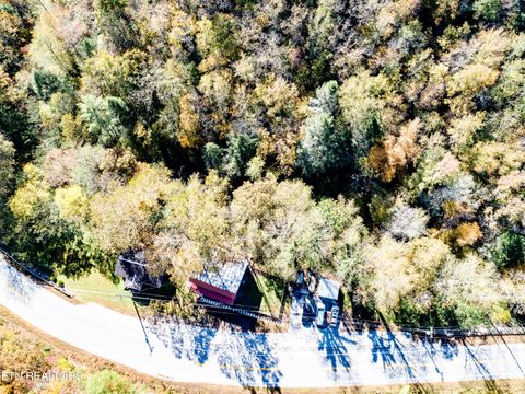 Tiny photo for 643 Airport Rd, Oakdale, TN 37829 (MLS # 1319475)