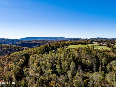 Tiny photo for 643 Airport Rd, Oakdale, TN 37829 (MLS # 1319475)