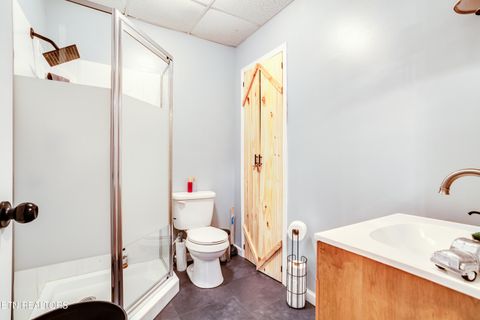 Tiny photo for 643 Airport Rd, Oakdale, TN 37829 (MLS # 1319475)