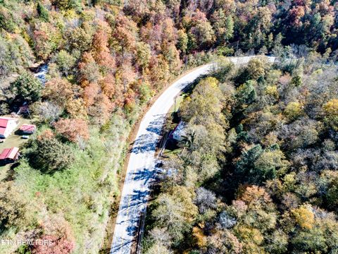 Tiny photo for 643 Airport Rd, Oakdale, TN 37829 (MLS # 1319475)