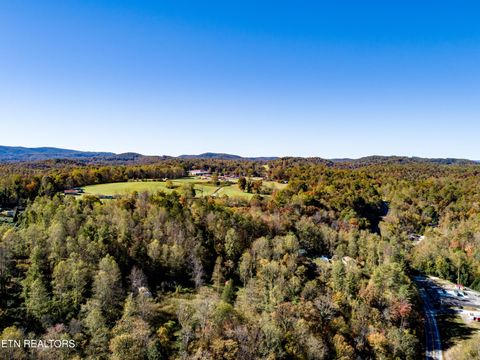 Tiny photo for 643 Airport Rd, Oakdale, TN 37829 (MLS # 1319475)