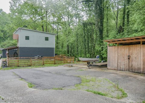 Tiny photo for 643 Airport Rd, Oakdale, TN 37829 (MLS # 1319475)