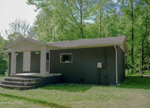 Tiny photo for 643 Airport Rd, Oakdale, TN 37829 (MLS # 1319475)
