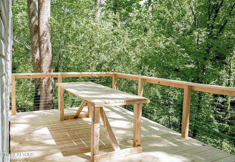 Tiny photo for 643 Airport Rd, Oakdale, TN 37829 (MLS # 1319475)