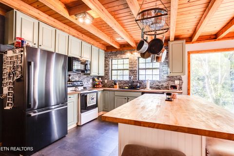 Tiny photo for 643 Airport Rd, Oakdale, TN 37829 (MLS # 1319475)