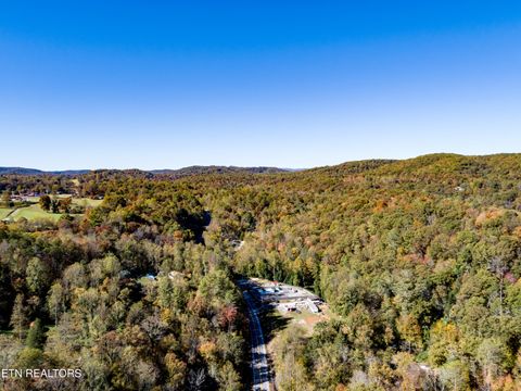 Tiny photo for 643 Airport Rd, Oakdale, TN 37829 (MLS # 1319475)