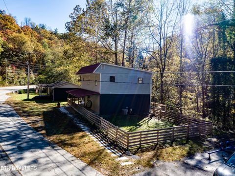 Tiny photo for 643 Airport Rd, Oakdale, TN 37829 (MLS # 1319475)