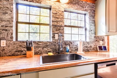 Tiny photo for 643 Airport Rd, Oakdale, TN 37829 (MLS # 1319475)