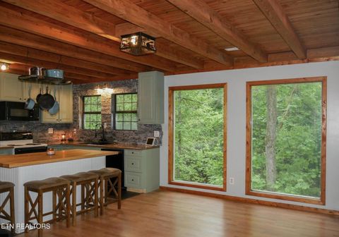 Tiny photo for 643 Airport Rd, Oakdale, TN 37829 (MLS # 1319475)