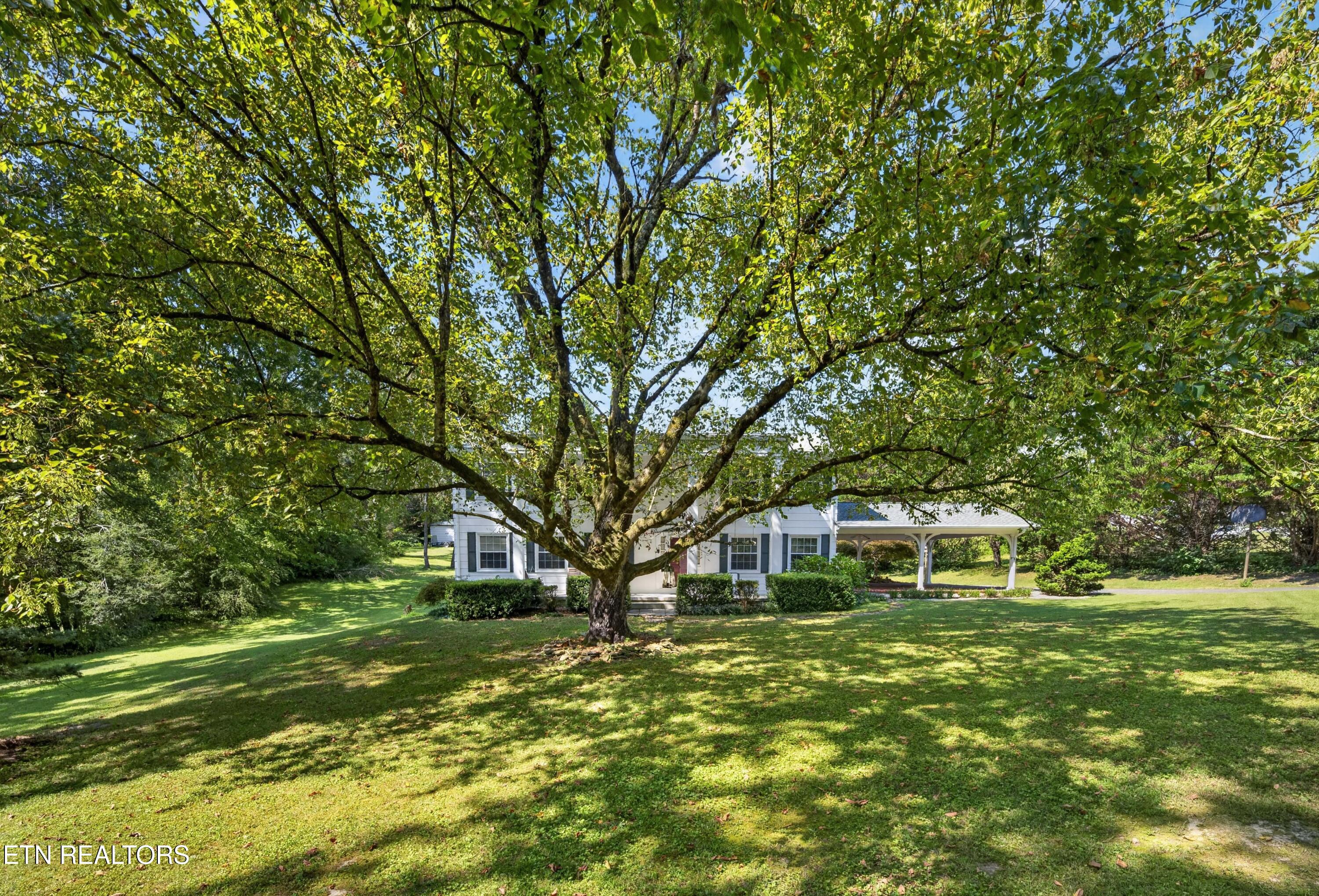 134 Andy Baird Drive