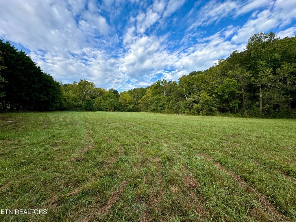 Photo of 148 Cate Rd, Kingston, TN 37763 (MLS # 1333026)