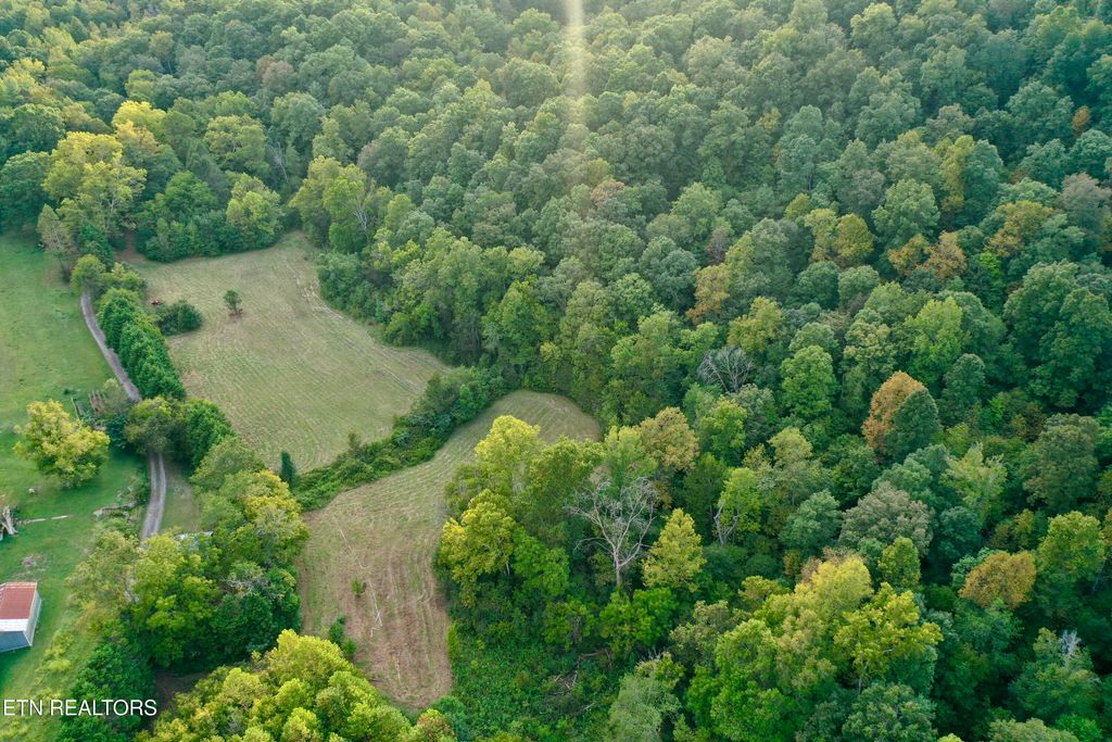 Photo of 148 Cate Rd, Kingston, TN 37763 (MLS # 1333026)