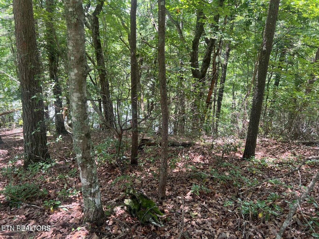 Photo of 104 Chatham LN, Fairfield Glade, TN 38558 (MLS # 1336743)