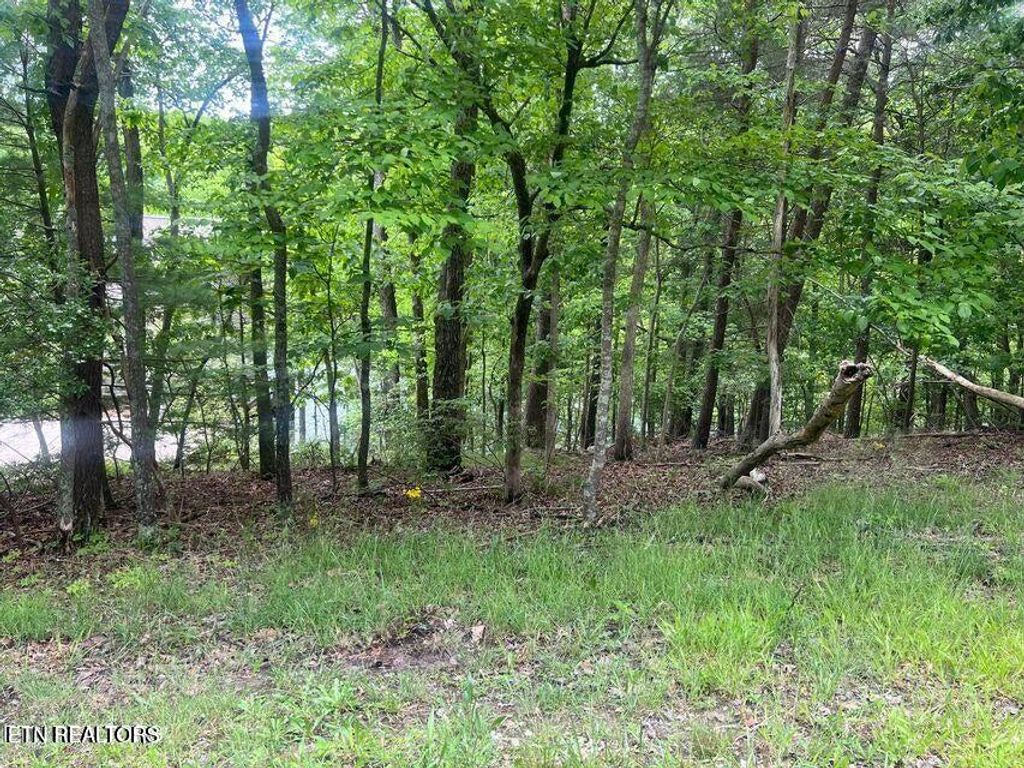 Photo of 104 Chatham LN, Fairfield Glade, TN 38558 (MLS # 1336743)