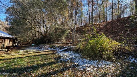 Tiny photo for 211 Cates Rd, Rockwood, TN 37854 (MLS # 1324336)