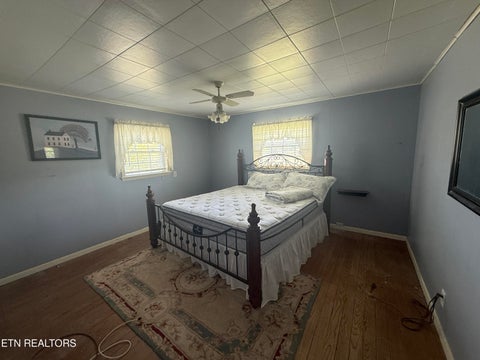 Tiny photo for 549 Raccoon Valley Rd, Powell, TN 37849 (MLS # 1356114)