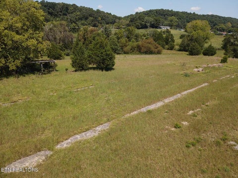 Tiny photo for 549 Raccoon Valley Rd, Powell, TN 37849 (MLS # 1356114)