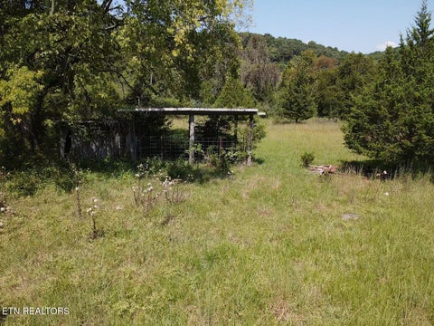 Tiny photo for 549 Raccoon Valley Rd, Powell, TN 37849 (MLS # 1356114)