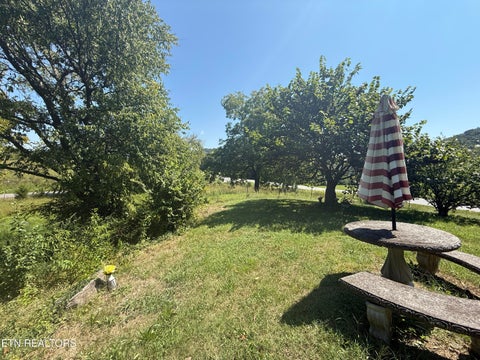 Tiny photo for 549 Raccoon Valley Rd, Powell, TN 37849 (MLS # 1356114)