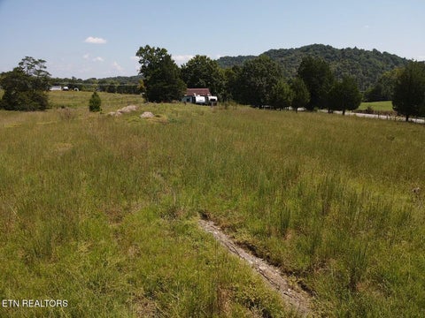 Tiny photo for 549 Raccoon Valley Rd, Powell, TN 37849 (MLS # 1356114)