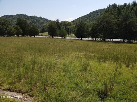 Tiny photo for 549 Raccoon Valley Rd, Powell, TN 37849 (MLS # 1356114)