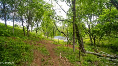 Tiny photo for 1445 River Rd, New Market, TN 37820 (MLS # 1340463)