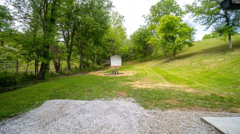 Tiny photo for 1445 River Rd, New Market, TN 37820 (MLS # 1340463)