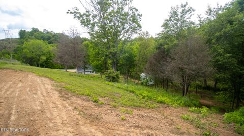 Tiny photo for 1445 River Rd, New Market, TN 37820 (MLS # 1340463)